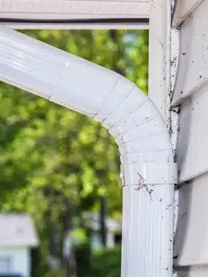 Insect Control Spiders