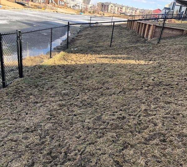 Voles removal Calgary AB