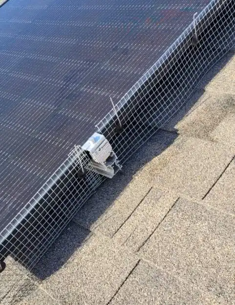 solar panel bird proofing on roof in airdrie alberta