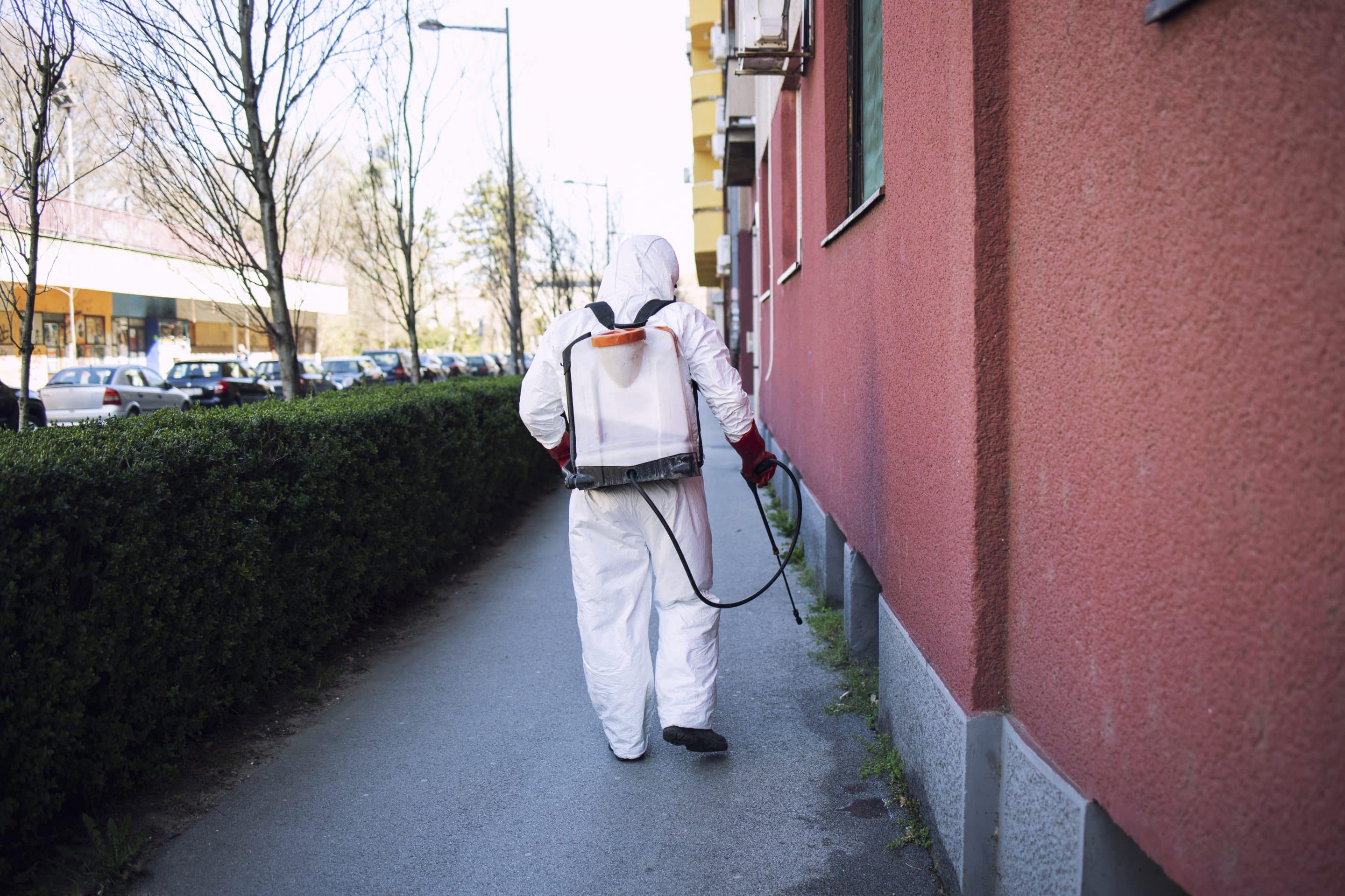 calgary exterminator