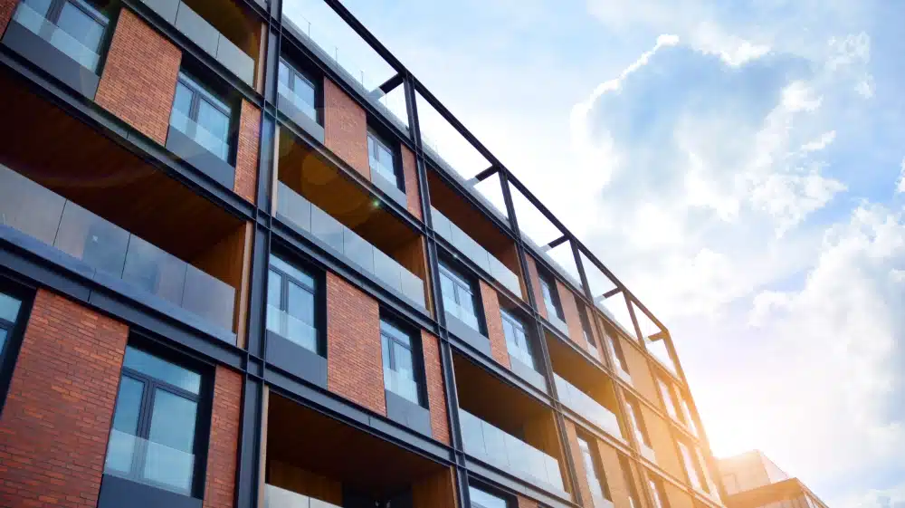 Pest Control in Rental Properties: What Landlords Must Do and What Tenants Can Do