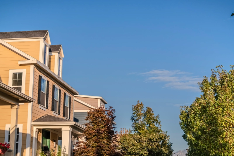 .How to Decide if a New House Needs Professional Pest Control Services