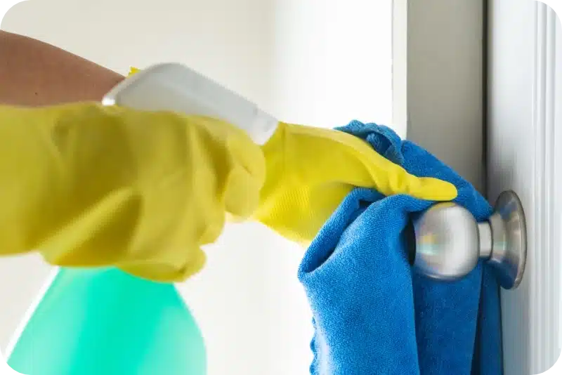 How Long You Should Wait to Clean Your Home After Pest Control Treatment