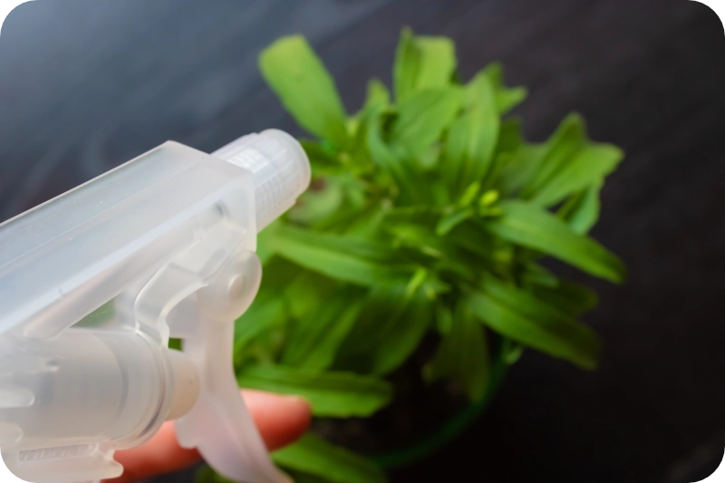 .How Pest Control Sprays Affect Common Garden and Indoor Plants