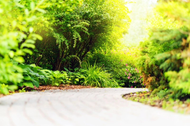 Protecting Your Garden