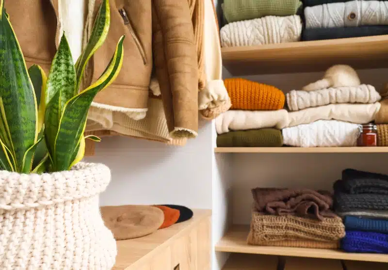 Why Pest Control Sprays in Closets: Everything You Need to Know