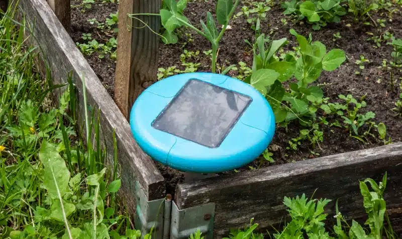 Do Ultrasonic Pest Repellers Really Work on Rodents and Insects?